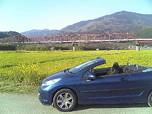 ☆春を感じて　207CCドライブ☆