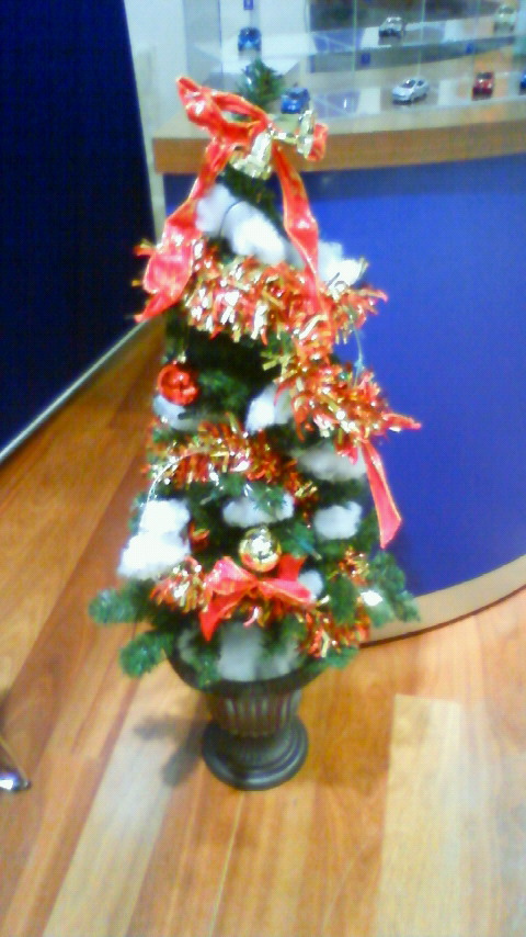 一足早いクリスマス☆