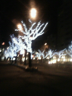 もうすぐクリスマス♪