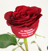 豆乳入り生チョコ★