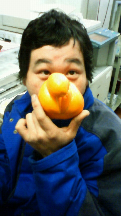 鼻の中身はなんじゃろか？