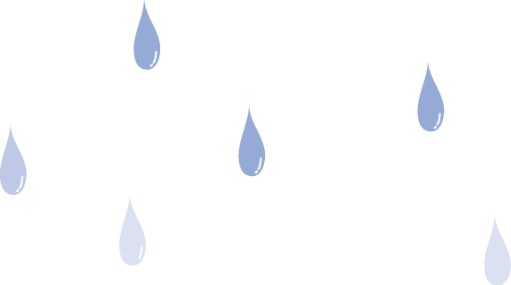 雨でした・・・（：＿；）