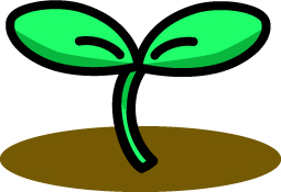 植物の秘密・・・・・・