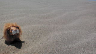 行ってきました♬