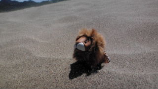 行ってきました♬