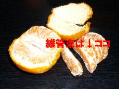 冬といえば・・・！？