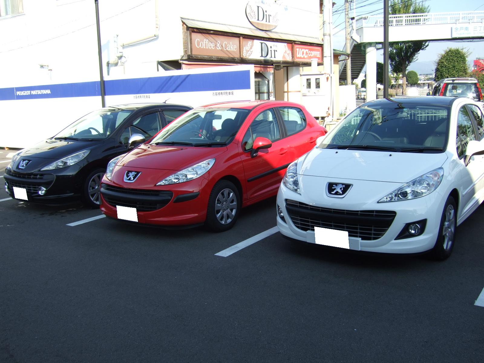 今日は日曜、本窪の日♪