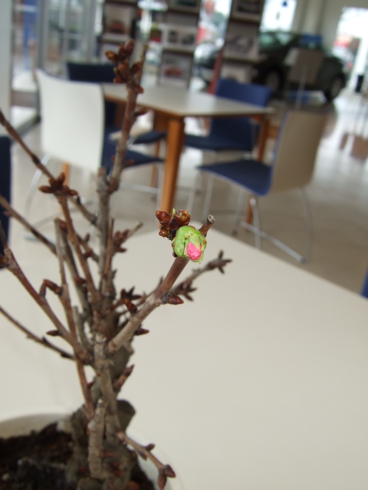 ３月は別れの季節？？