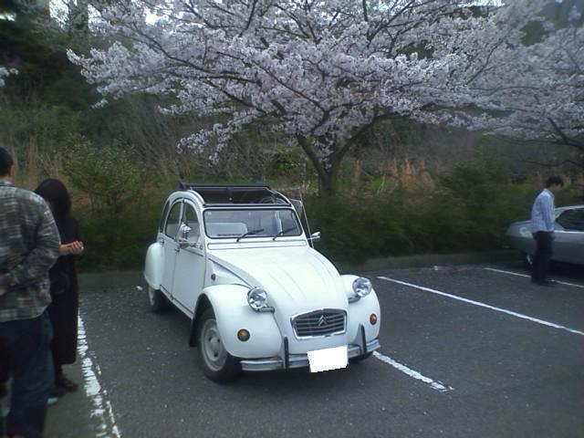 瀬戸内与島ヨーロッパ車ミーティング！？