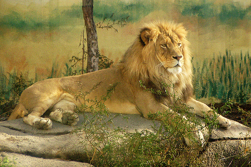 分かるかなっ？？