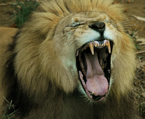 分かるかなっ？？