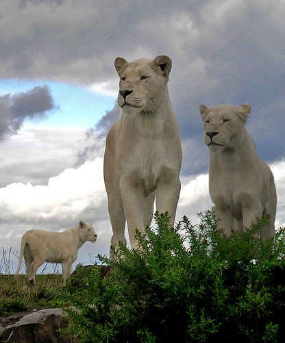 分かるかなっ？？　～答え～