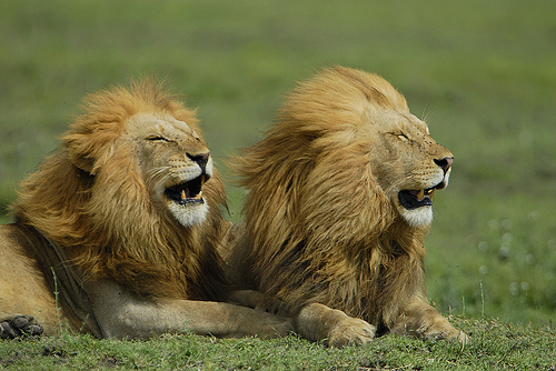 分かるかなっ？？　～答え～