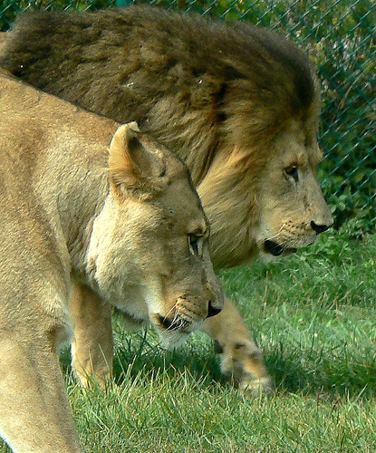 分かるかなっ？？　～答え～