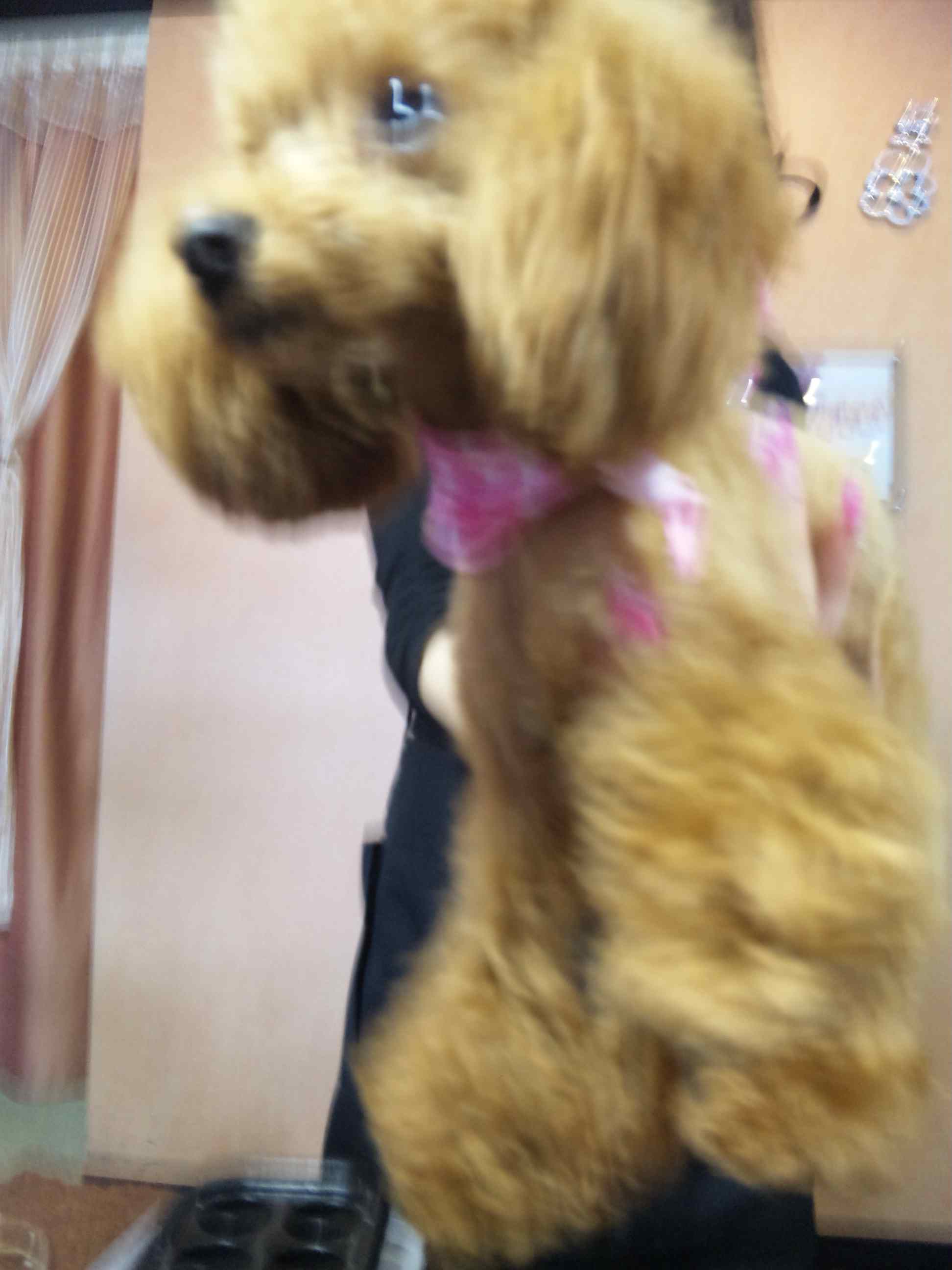 可愛すぎるッ！