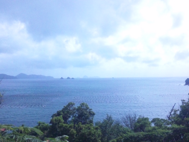 海！！