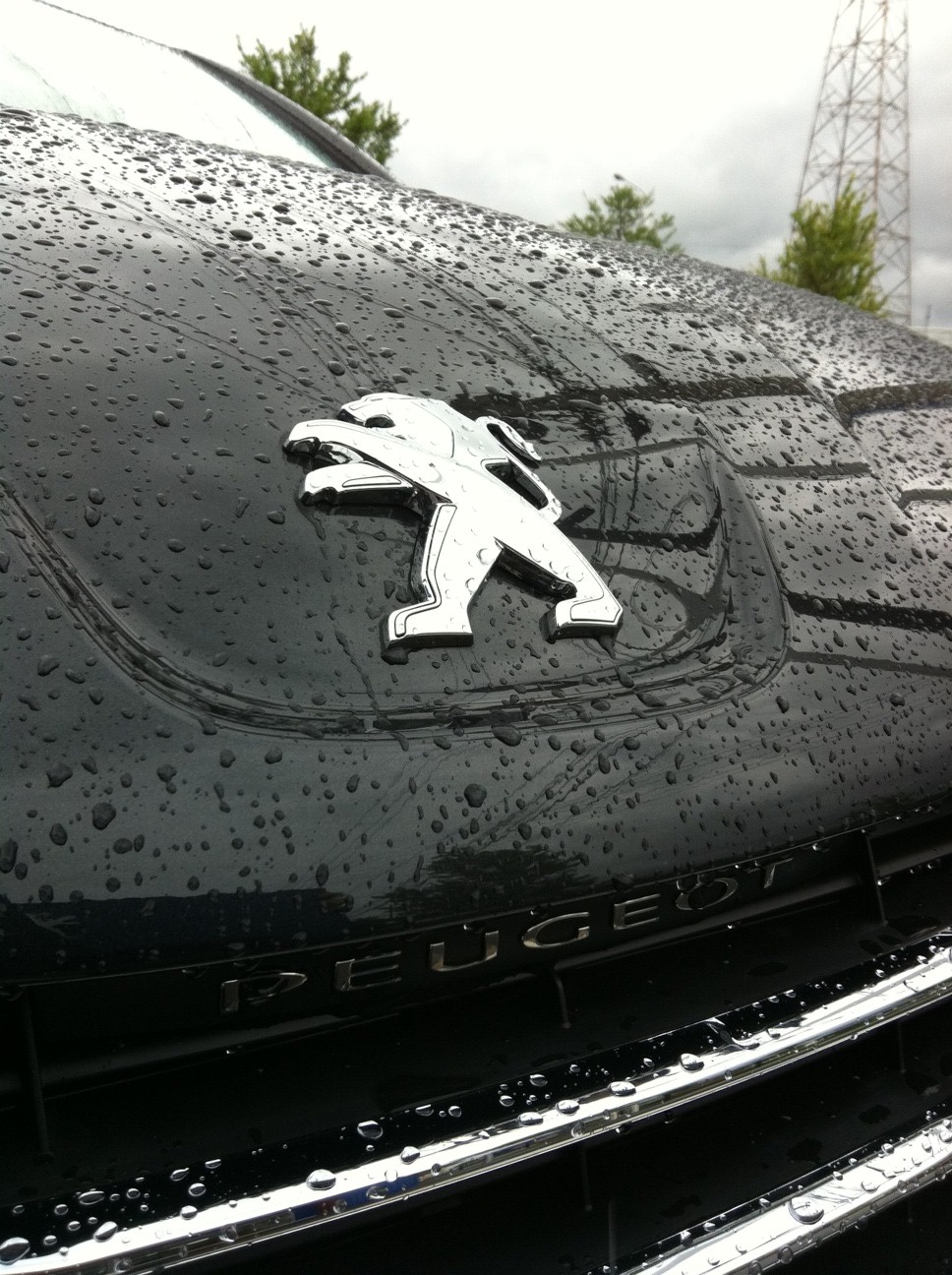 雨の定休日＆ESPって何？