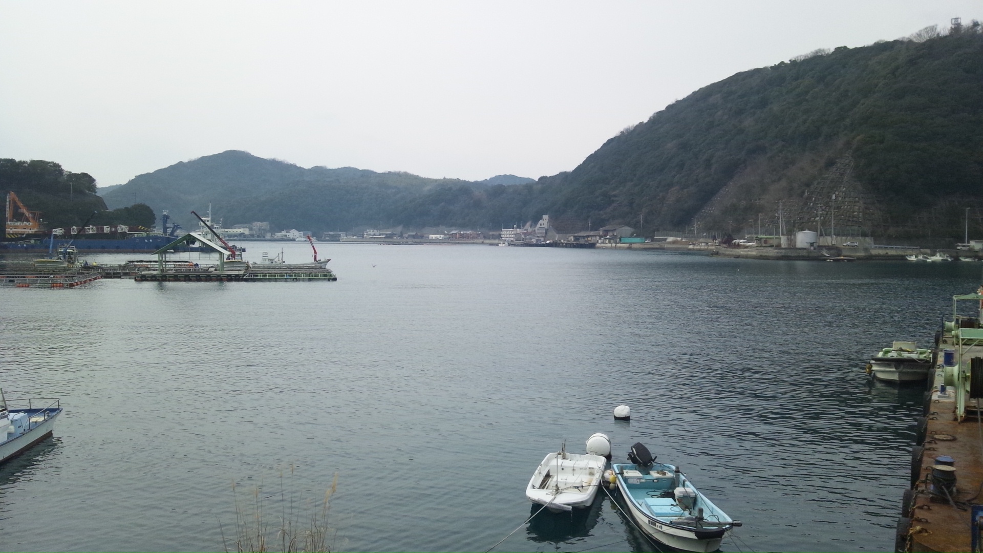 海は広いなぁー♪