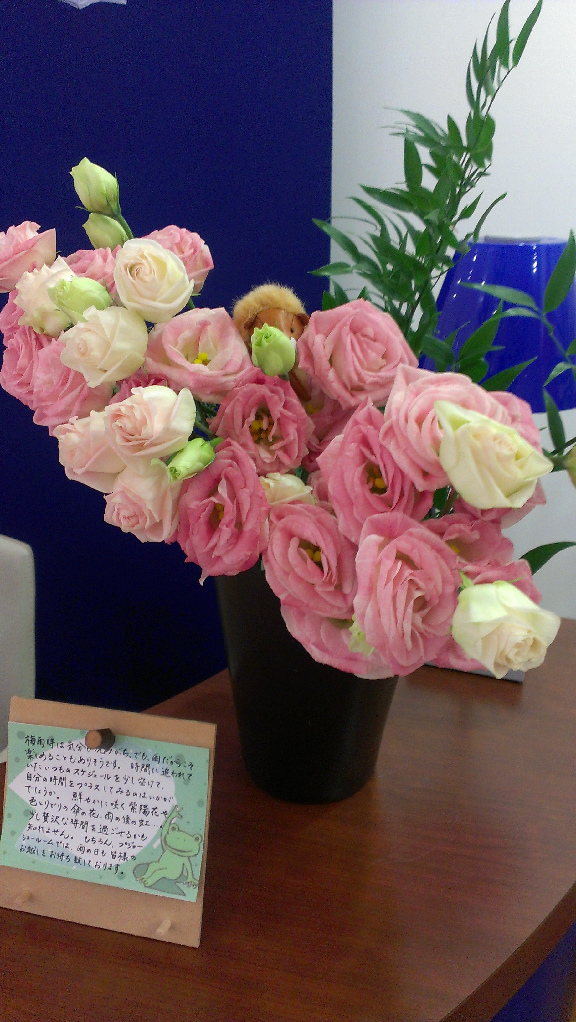 今週のお花♪