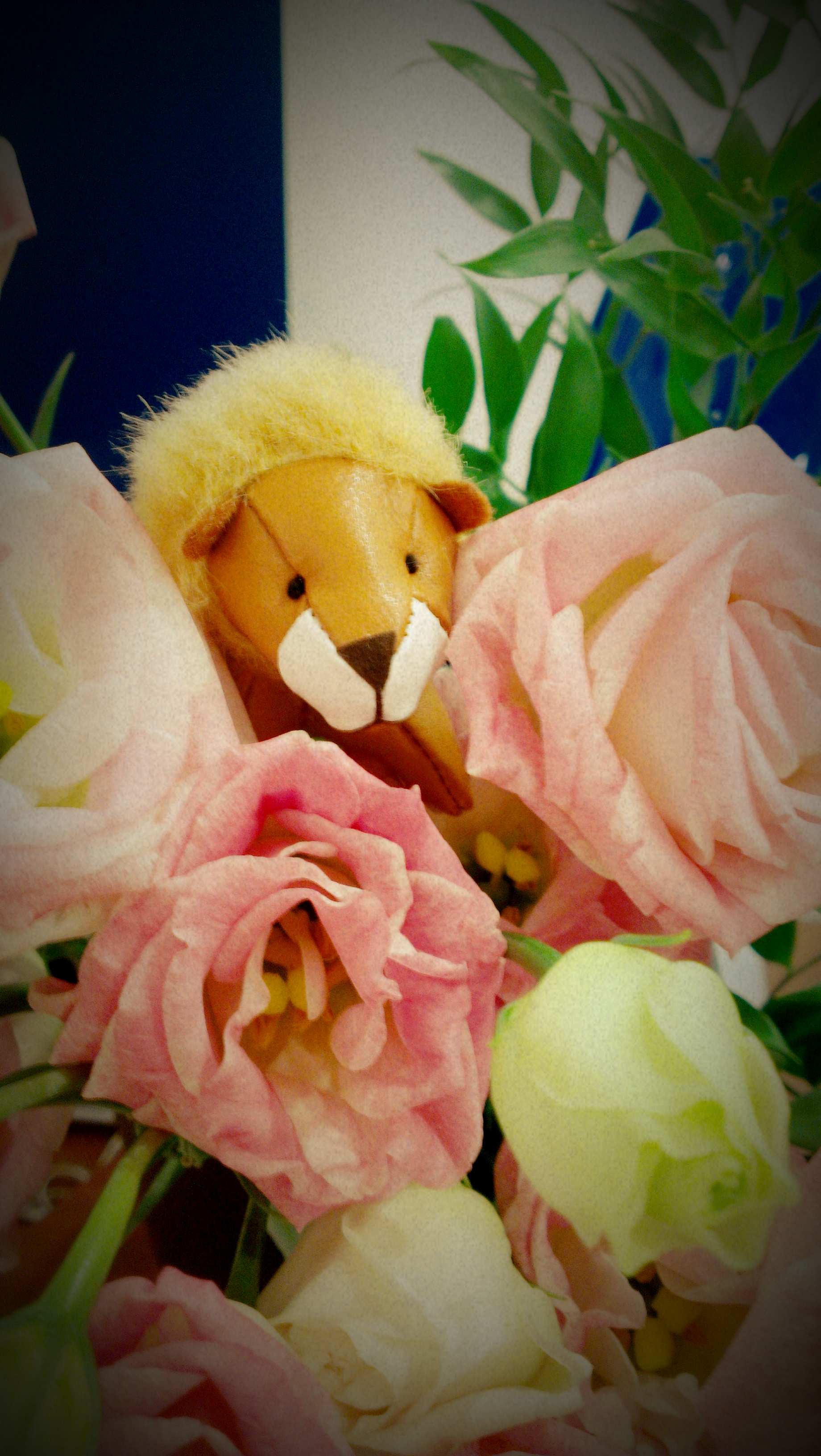 今週のお花♪