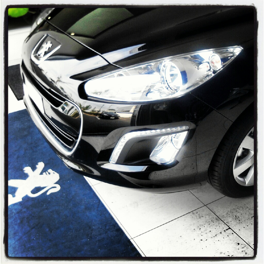 この車は何でしょう！？