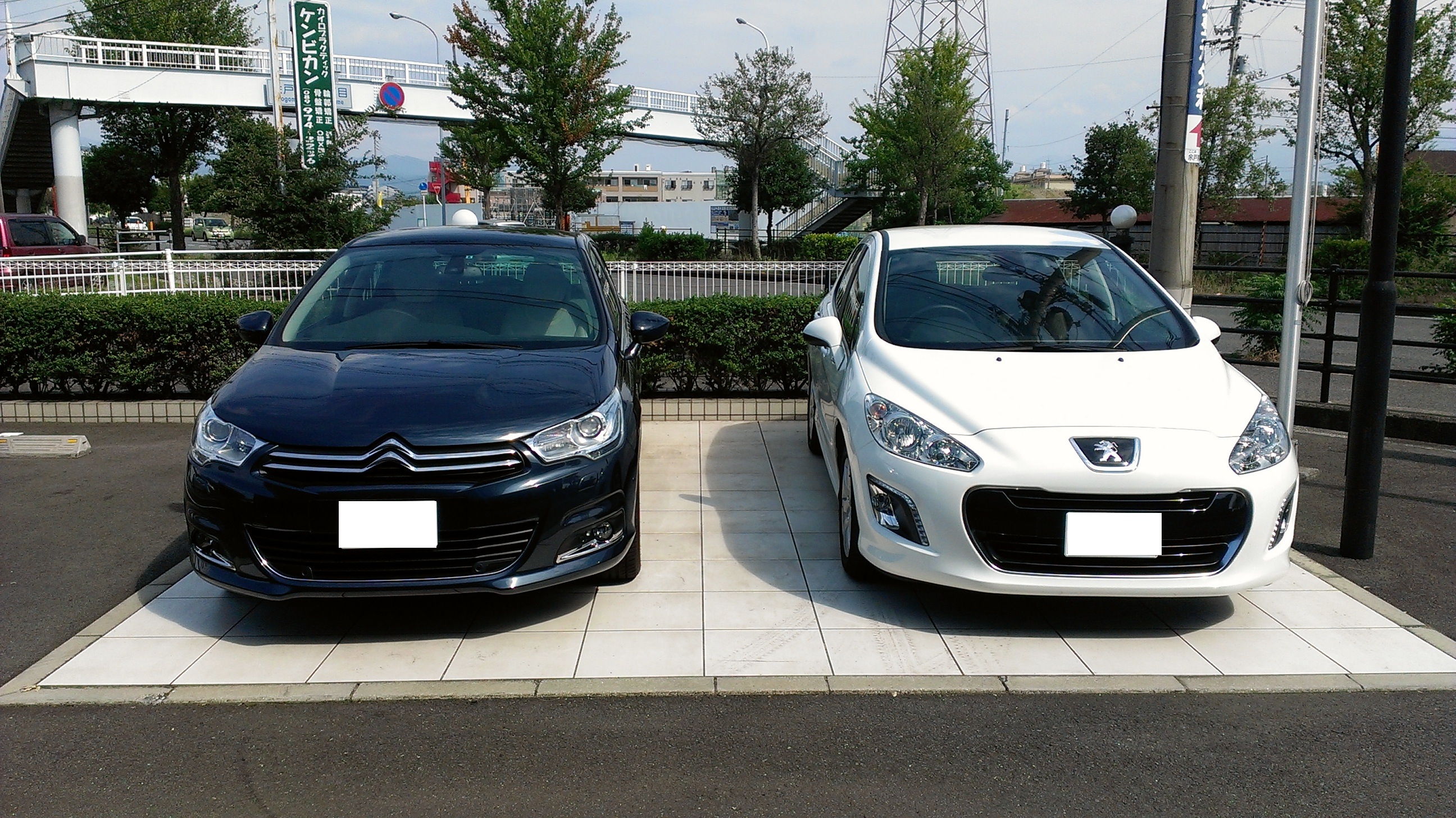 あなたはどっち！？