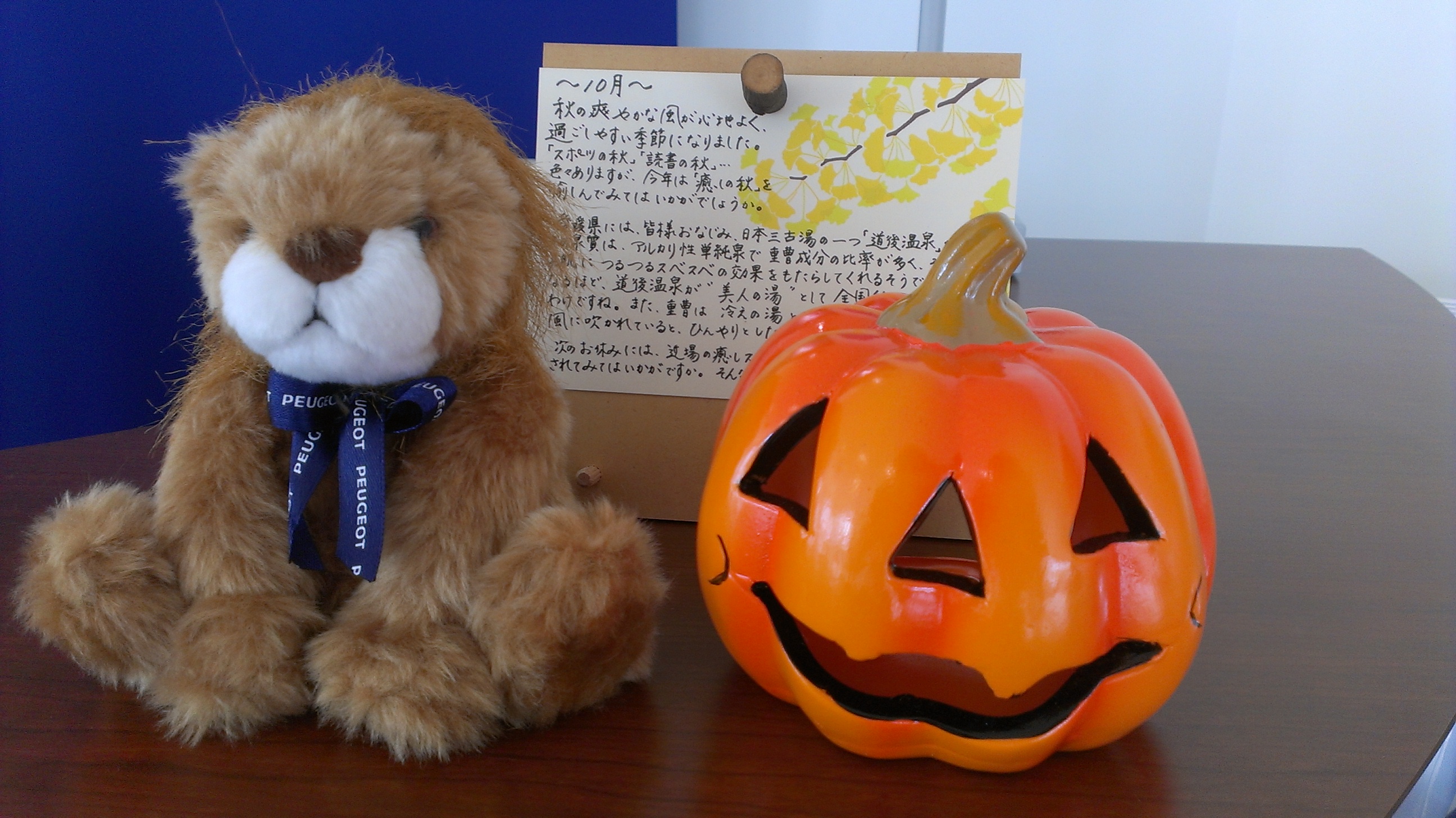 今日から・・・