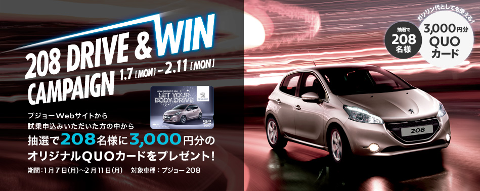 試乗してGETだぜ！