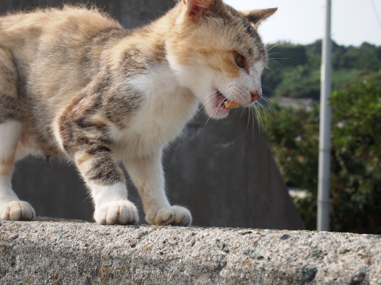 お盆休みその２
