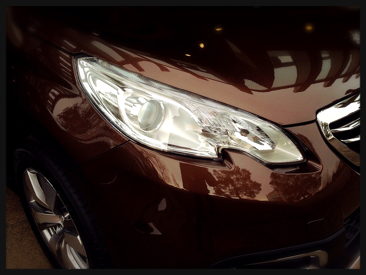 2008到着致しました!!