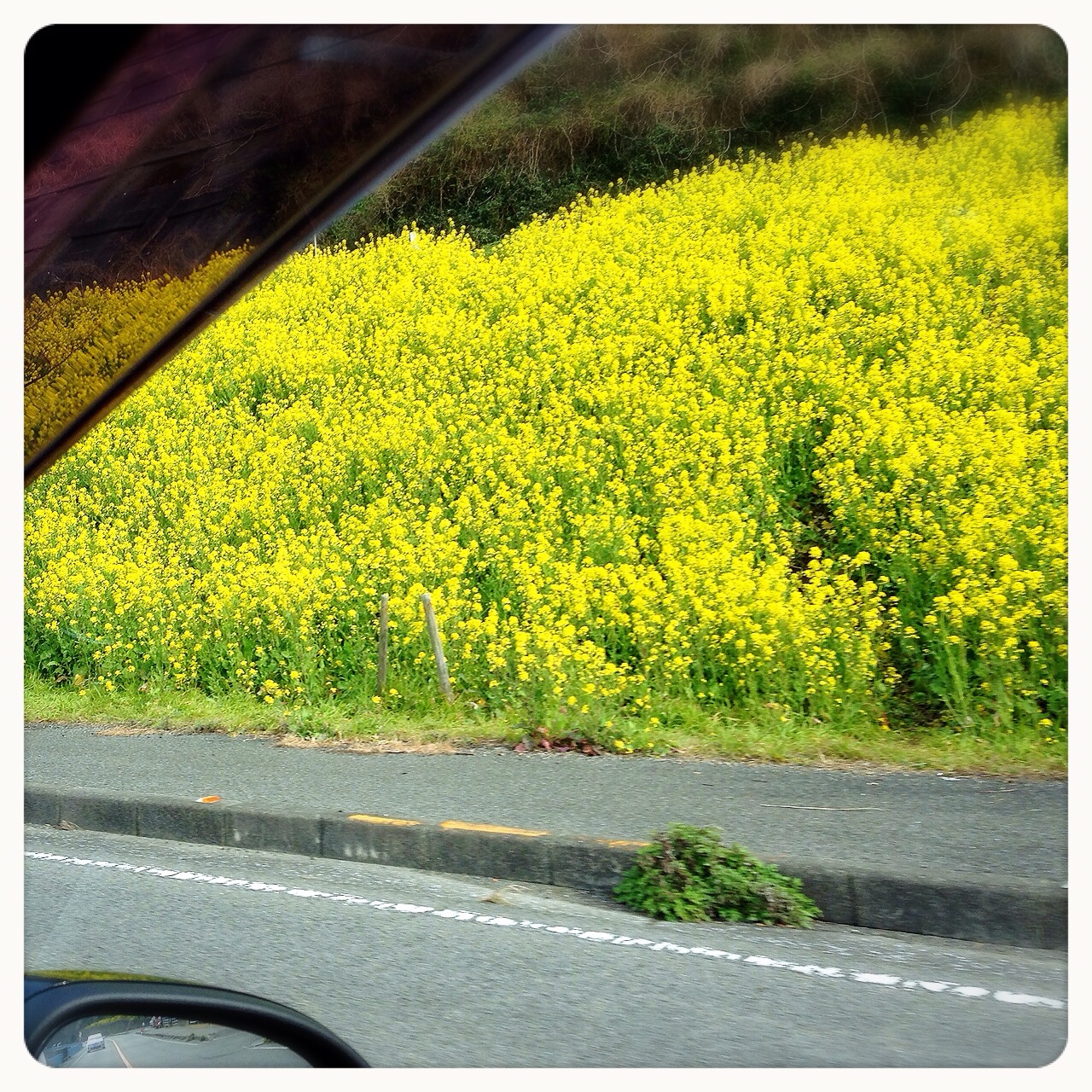 撮影スポット。