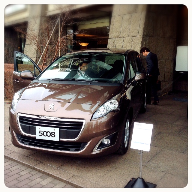 PEUGEOT NEW CROSSOVER FAIR