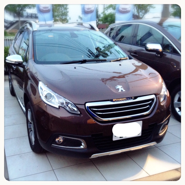 PEUGEOT松山試乗車情報!!写真付き♪