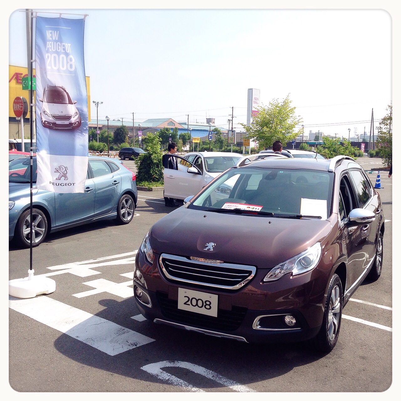 始まりました‼