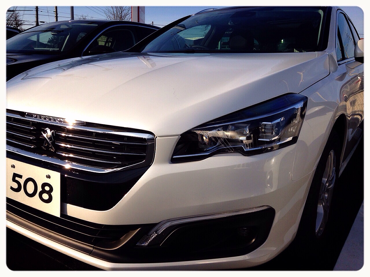 あけましておめでとうございます‼︎