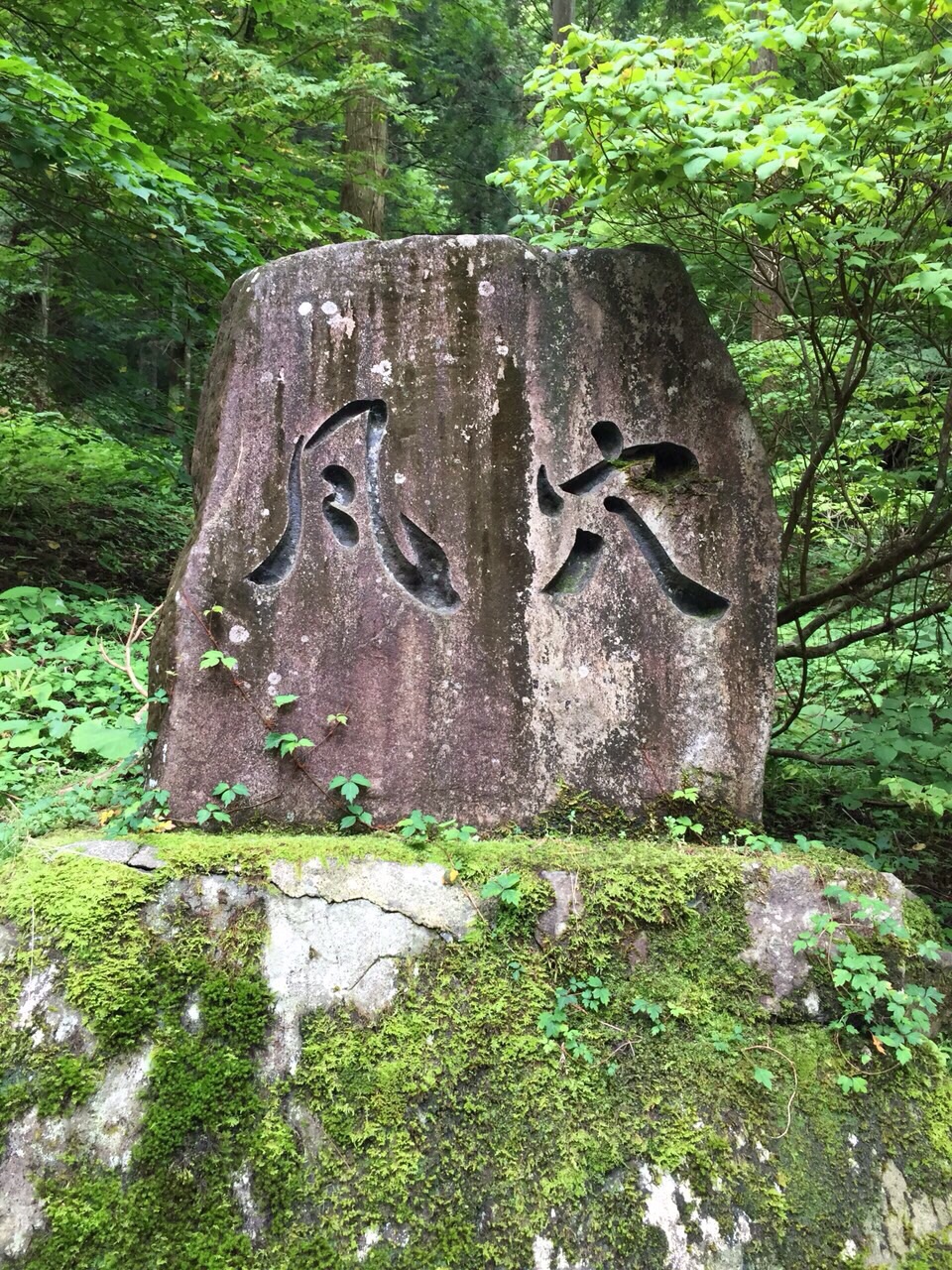 夏休みは…
