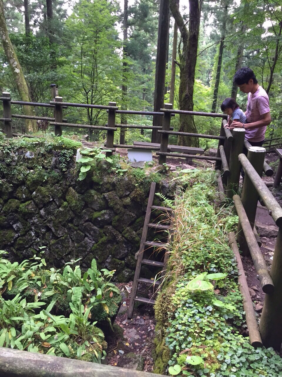 夏休みは…