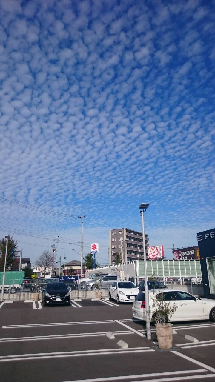 イワシ雲