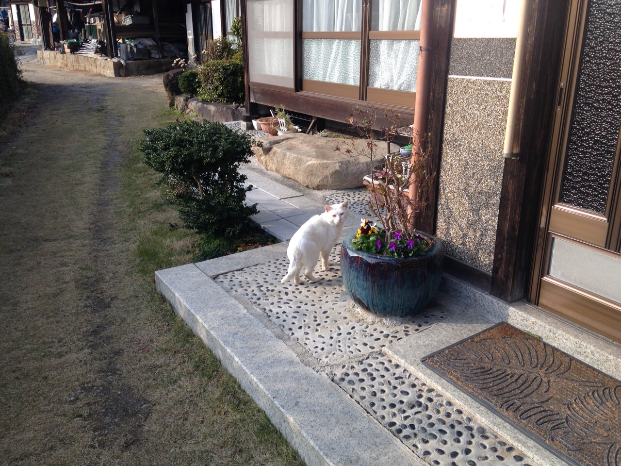 【新年明けましておめでとうございます。】