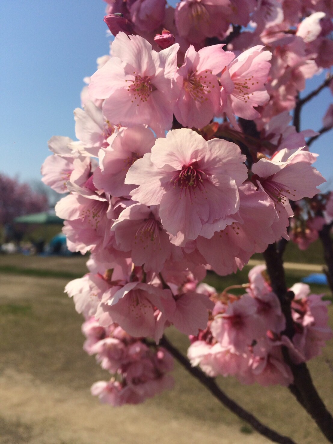 はじめまして。