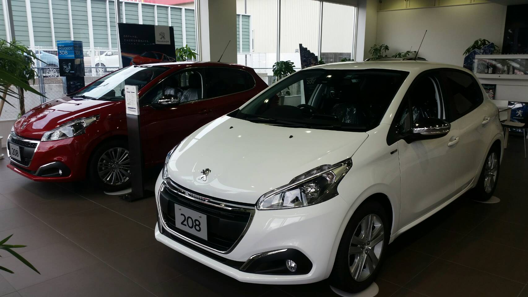 【新しい展示車　到着！】