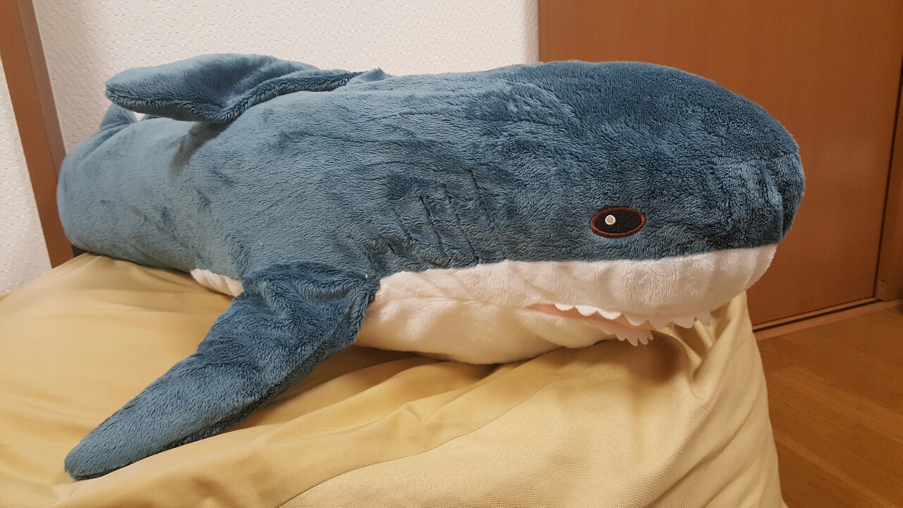 僕も行ってきました♪