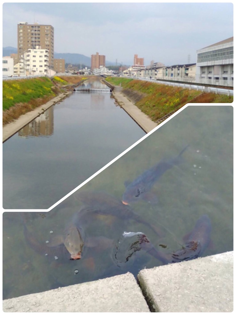 春よ来い、早く来い!