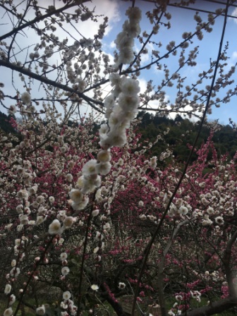 季節の変わり目
