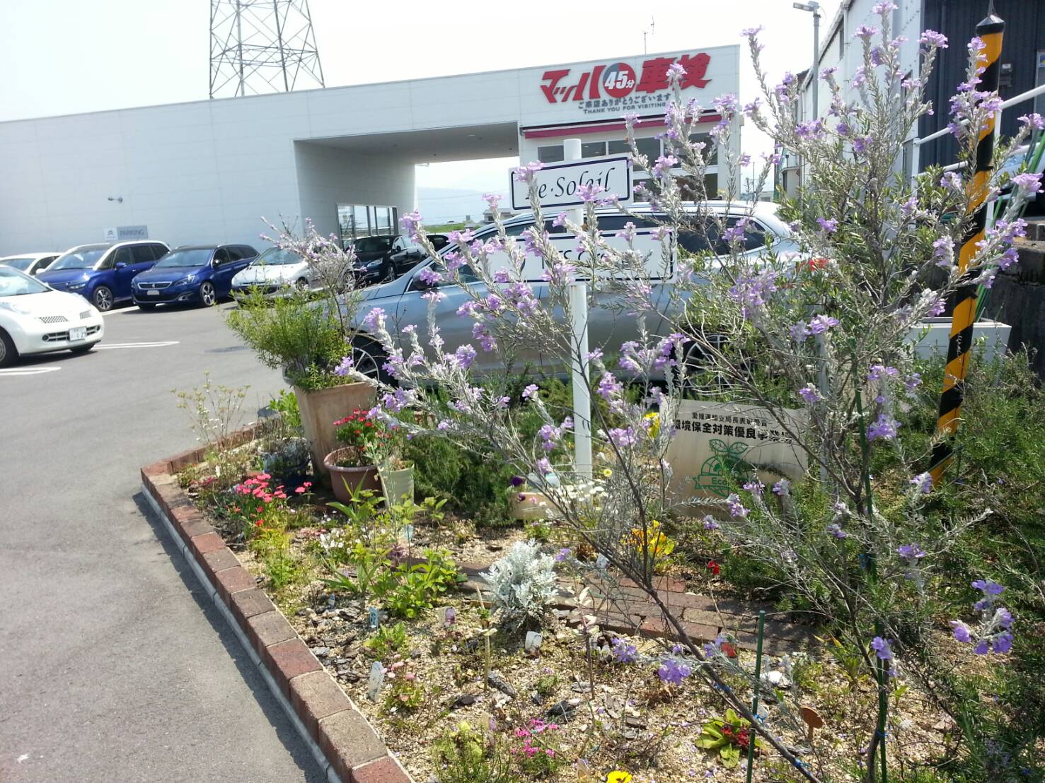 今日から5月ですね。