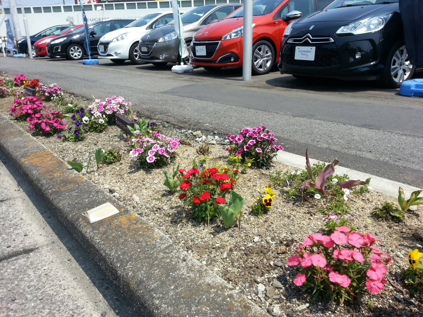 今日から5月ですね。