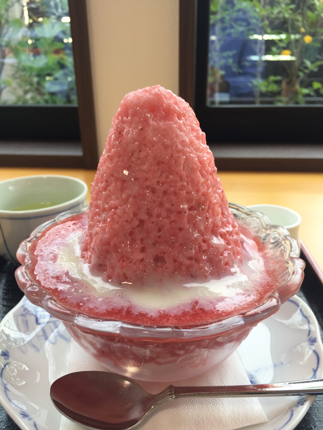 今年初の