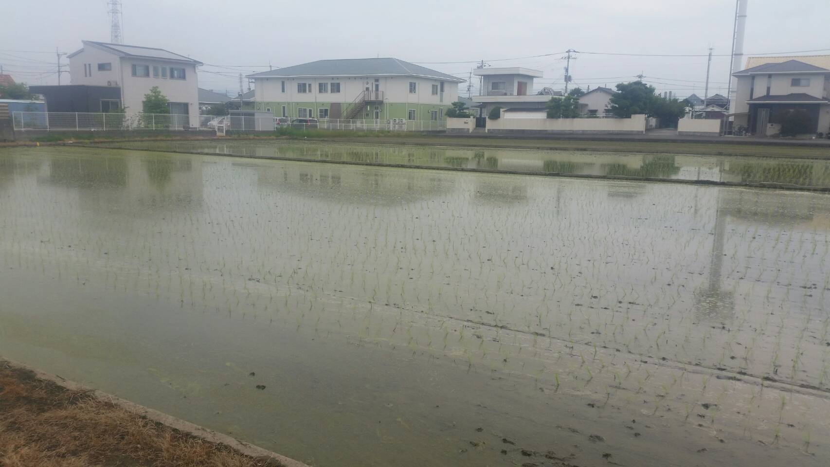 【梅雨入り！】