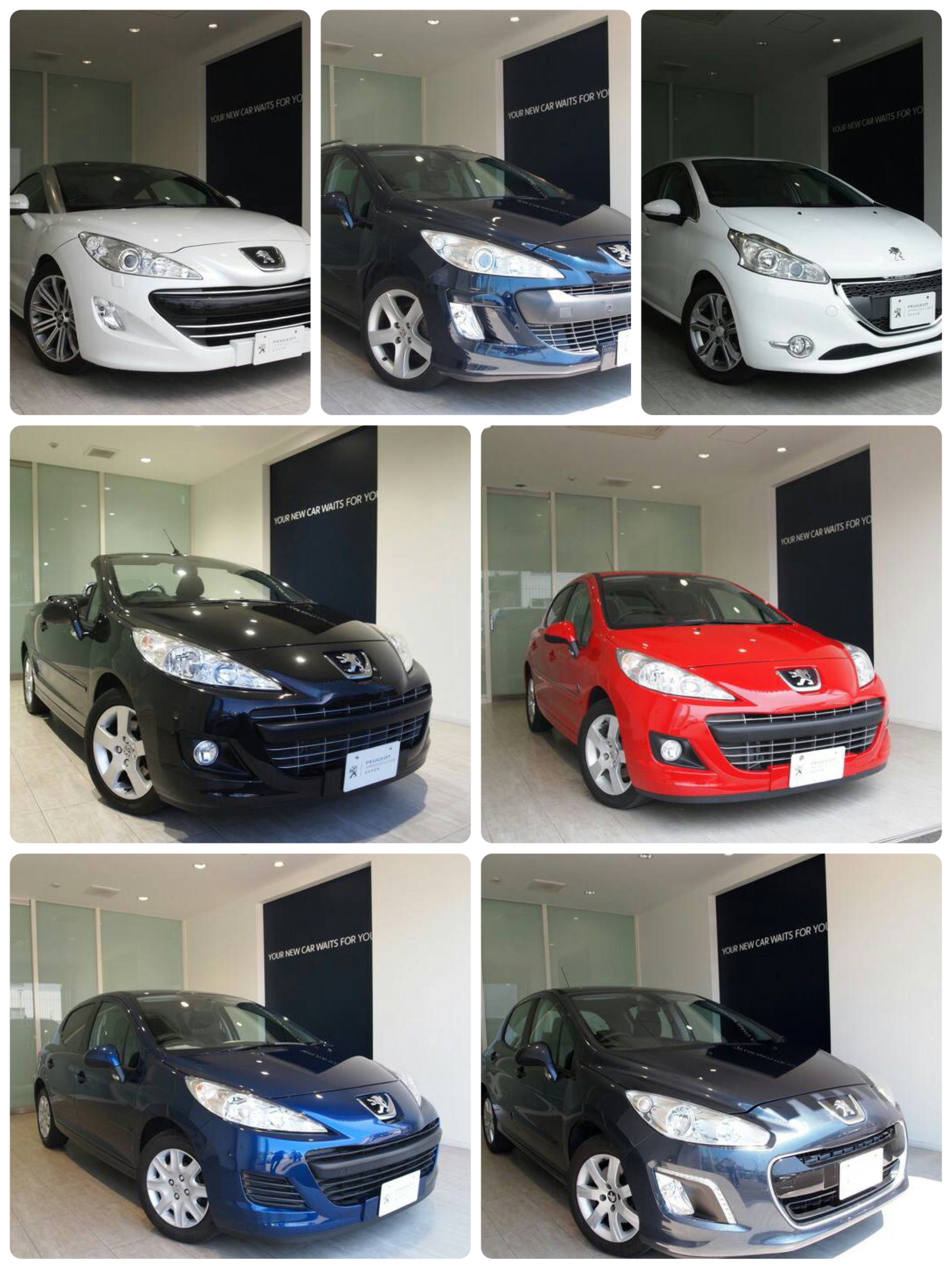 【認定中古車入庫！】