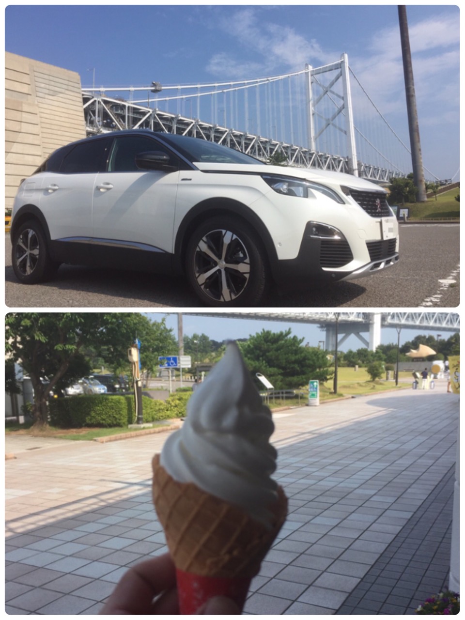 鳥取に行ってきました‼︎